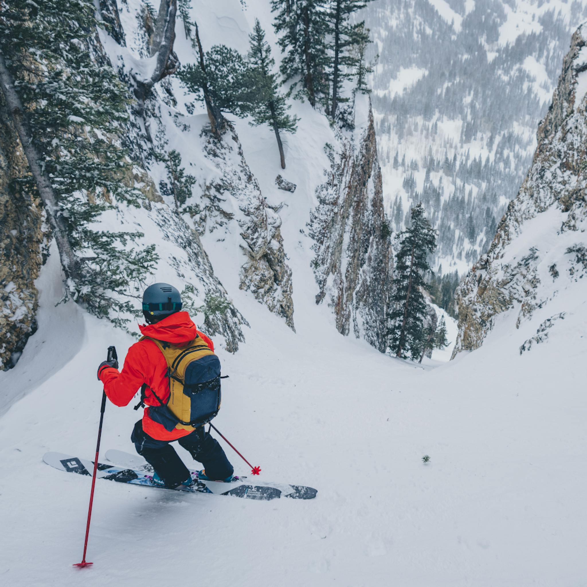 Black diamond dawn patrol 25 backpack outlet